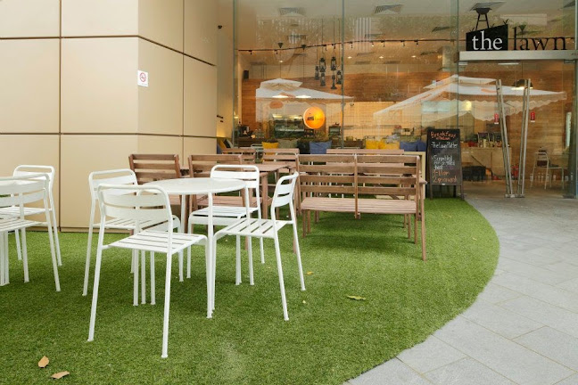 The Lawn Cafe (Dog-Friendly!)