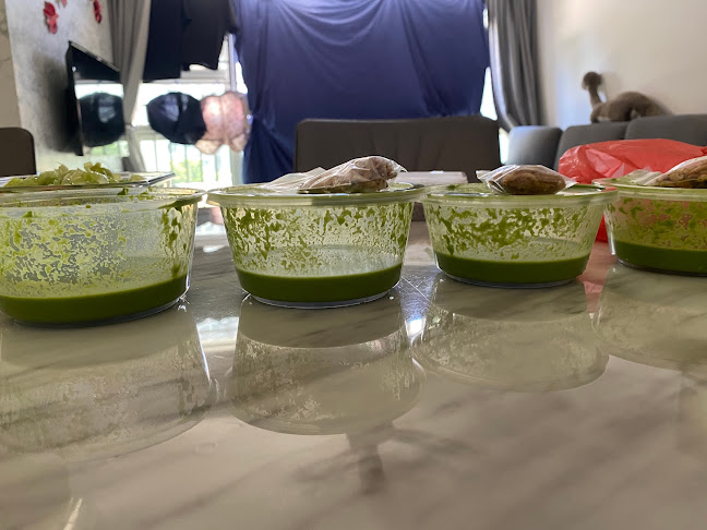 710 Clementi West Street 2, Singapore 120710