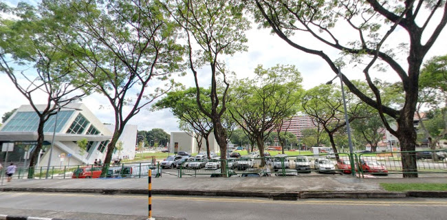 Oven & Fried Chicken - Singapore