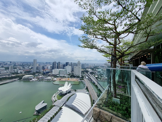 LAVO Italian Restaurant And Rooftop Bar - Hospitality and gastronomy