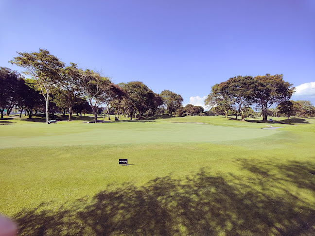 The Nest - Hospitality and gastronomy