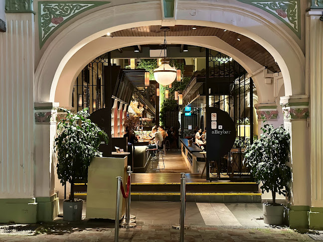 Comentarii opinii despre Alleybar