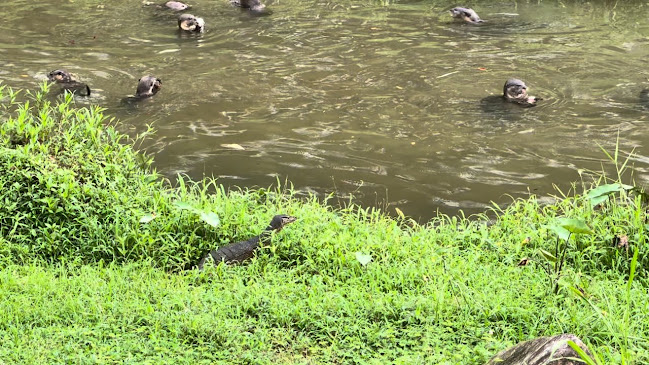 Burp Kitchen & Bar (Bishan Park) - Singapore