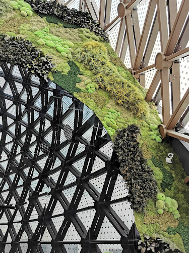 Comentarii opinii despre Dusit Gourmet