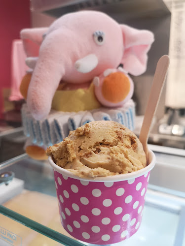 Comentarii opinii despre The Dancing Elephant Ice Cream