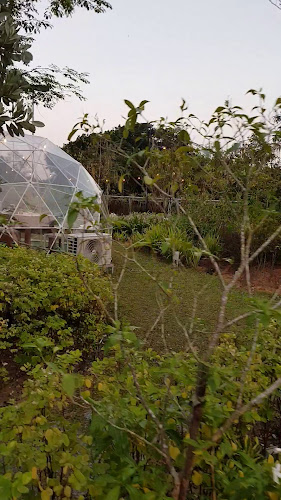 The Summerhouse - Singapore