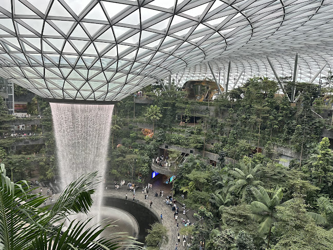 Song Fa Bak Kut Teh (Jewel Changi Airport) - Hospitality and gastronomy