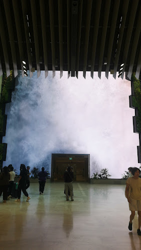 Chang Jiang G1 Claypot Frog Porridge 长江1号 - Singapore