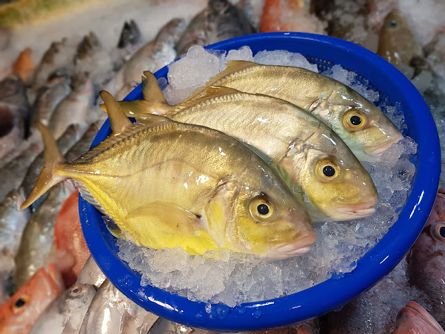 Hah Seafood - 合海鲜新鲜批发 - Hospitality and gastronomy