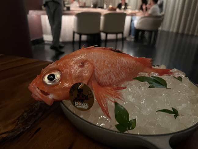 Opinii despre Araya în Singapore - Hospitality and gastronomy