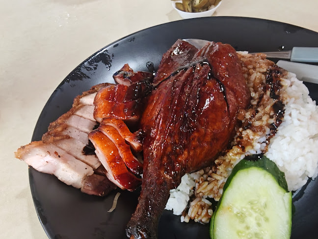 Duck Professor 鸭博士