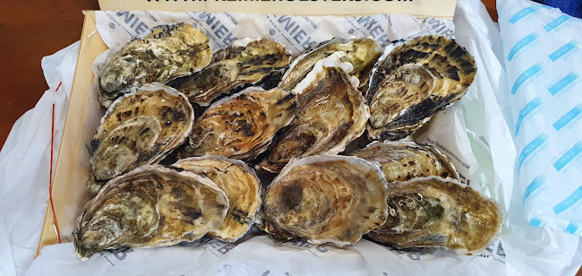 Snorre Food Pte. Ltd. - Hospitality and gastronomy