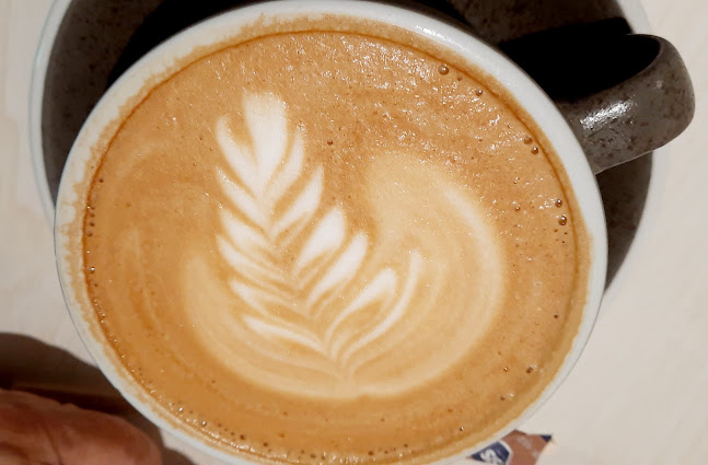 Cedele Bakery Cafe - Paragon - Hospitality and gastronomy