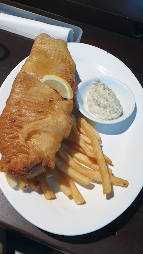 Comentarii opinii despre Kontiki