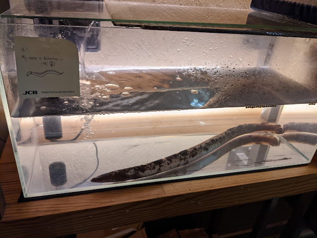 Comentarii opinii despre Man Man Japanese Unagi Restaurant