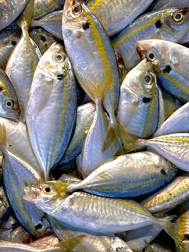 Panjangikan - Hospitality and gastronomy