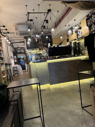 Comentarii opinii despre The Wired Monkey SG (The Hole)