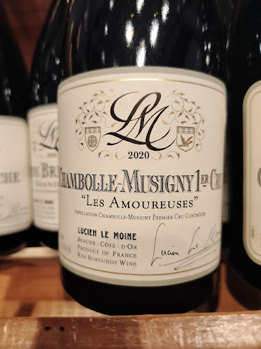 Enoteca Wine - Hospitality and gastronomy