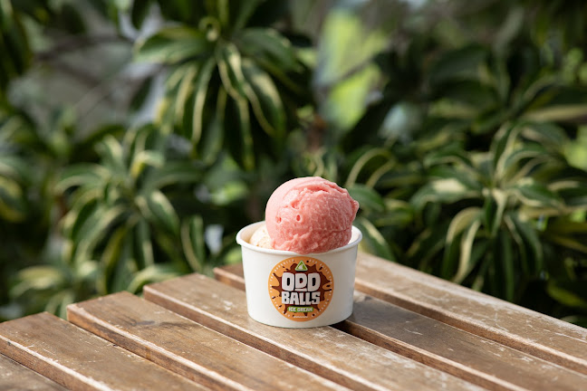 Kindred Folk - Hospitality and gastronomy