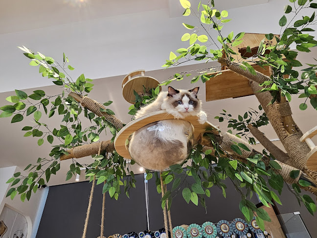 9 Sin Ming Rd, #01-04, Singapore 575630