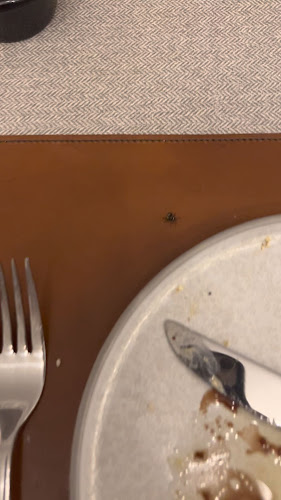 Cinder Steakhouse at Wheeler's Estate - Hospitality and gastronomy