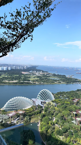 Comentarii opinii despre LAVO Italian Restaurant And Rooftop Bar