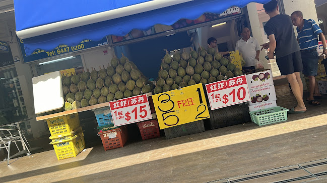 Comentarii opinii despre R&L durian