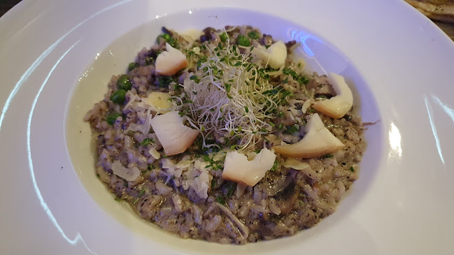 Comentarii opinii despre Supply & Demand, Novena