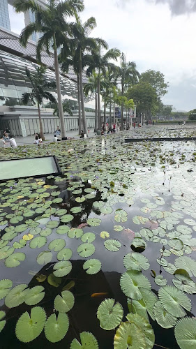 Comentarii opinii despre Miracle Coffee