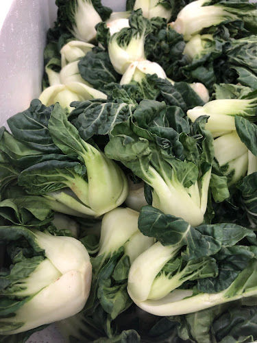 21 Hougang St 51, #01-40/41 Hougang Green Shopping Mall, Singapore 538719