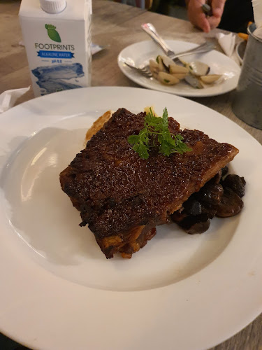 Comentarii opinii despre Lazy Lizard - NEWest