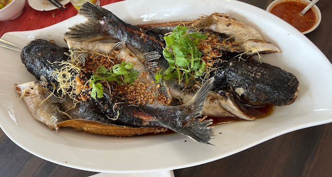 Food R Us - Hospitality and gastronomy