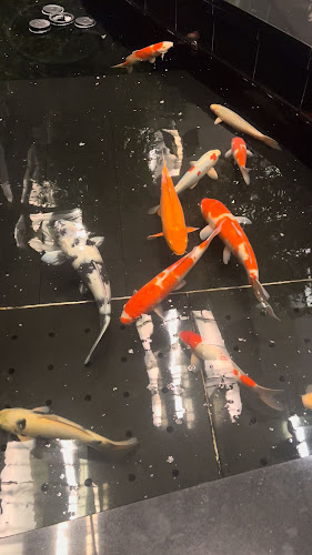 Comentarii opinii despre Pret A Manger (Terminal 3)