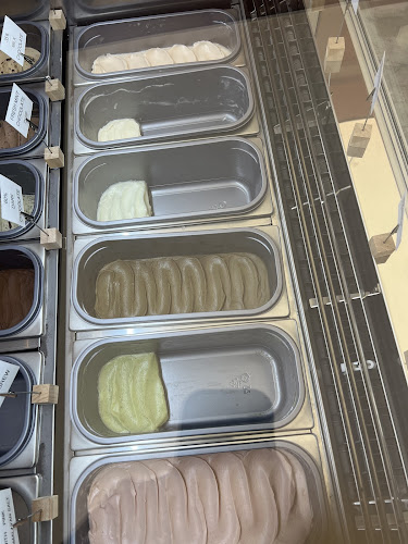 Comentarii opinii despre gelatolabo