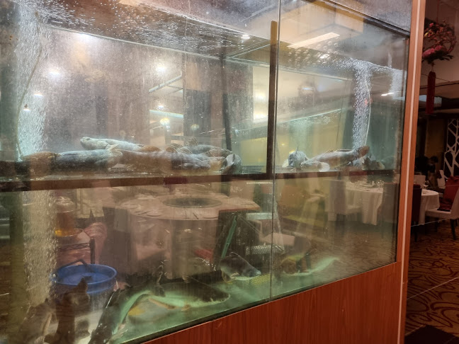 Jade Phoenix - Singapore