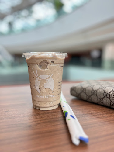 78 Airport Blvd., #04-231/232, Singapore 819666