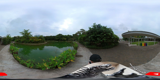 Comentarii opinii despre Fusion Spoon