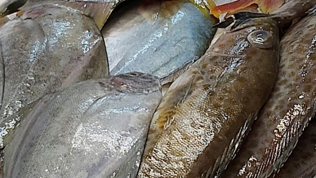 Ah Lim Fresh Seafood Supply