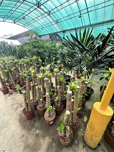 Comentarii opinii despre Weekenders Market