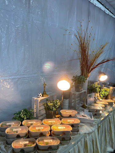 Comentarii opinii despre Manna Pot Catering