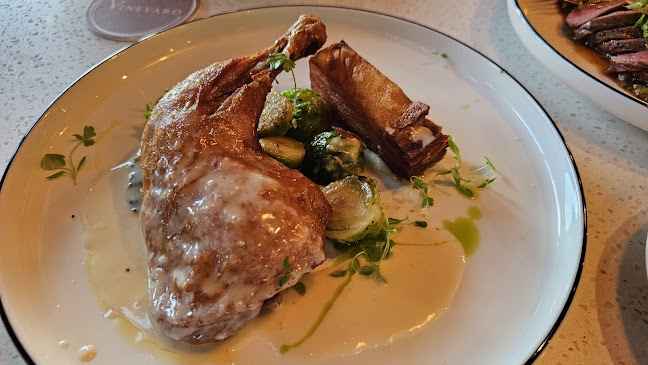 Vineyard - Hospitality and gastronomy