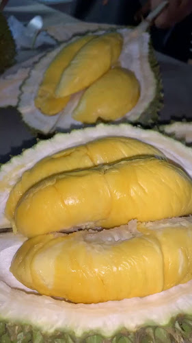 Spike Empire - Hospitality and gastronomy