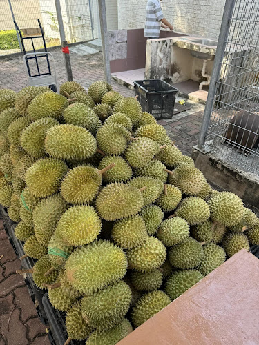 259A Bangkit Rd, #01-09, Singapore 679970