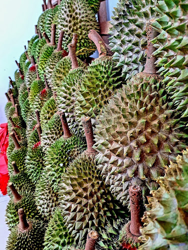WLS Durian Village - Singapore