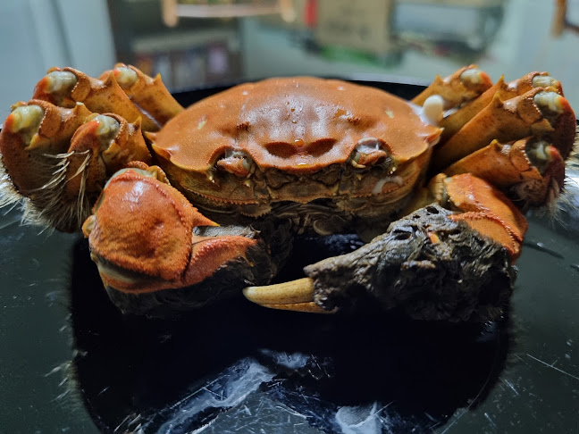 Opinii despre M1 Crab AMK în Singapore - Hospitality and gastronomy