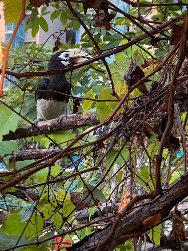 Le Chasseur - Hospitality and gastronomy