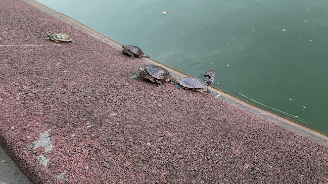 georges by the Bay - Hospitality and gastronomy