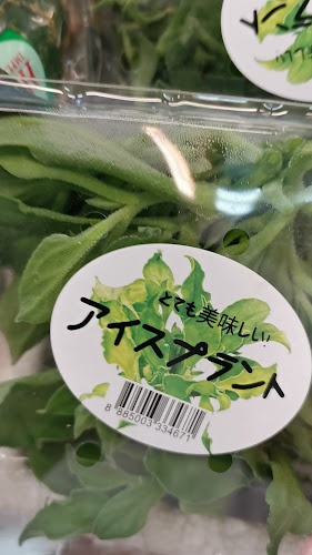 Comentarii opinii despre Lao Sin Kian Choon - Wholesale and Retail Fruits