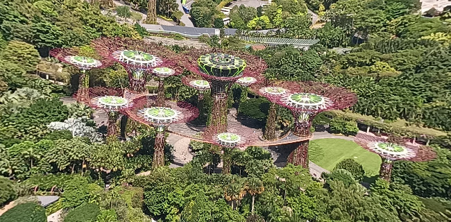 LAVO Italian Restaurant And Rooftop Bar