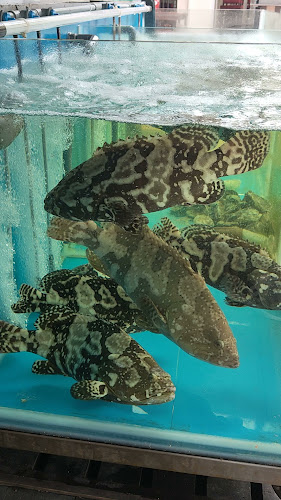 Opinii despre Harvest Seafood Restaurant în Singapore - Hospitality and gastronomy